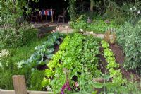 Small allotment plot with vegetables in 'The Chelsea Pensioner Garden' at Chelsea FS 2005