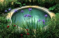 Gazing pool with Iris sibirica and Deschampsia at Chelsea FS