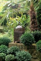 Morrocan lamp in amongst dense planting of Buxus sempervirens, Trachycarpus and Hedychium - Penrith Road, Surrey