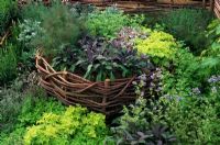 Raised wicker bed with herbs in Red Cross Garden