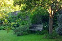 Bench in semi wild garden