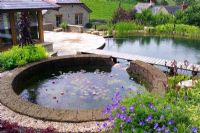 Natural swimming pool filtered with reedbeds, waterlily pond and no chemicals at Little Bredy in Dorset