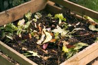 Compost heap in slatted wooden box
