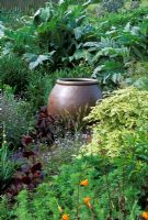 Large earthenware pot in border with Pittosporum tobirum and Cynara cardunculus at Pannells Ash Farm in Essex