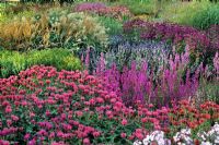 Monarda and Lythrum - Pensthorpe Millennium Garden