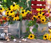 Flower arrangement with Rudbeckias in metal containers