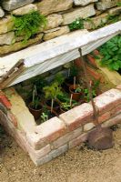 Small coldframe for new or tender plants at 'The Old Police House' Hampton Court FS 2005