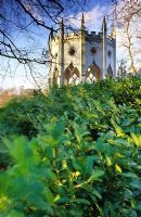 Gothic temple at Painshill in Surrey with Prunus lusitanica in foreground