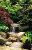 Waterfall and bonsai tree in Japanese garden at Chelsea FS 2005