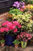 Group of colourful containers on stairs in spring at Fairfield in Surrey