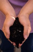 Hands holding loamy soil compost