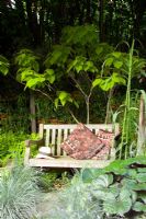 Garden with wooden bench and green foliage planting in Brinsbury Colleges garden at Chelsea FS 2004