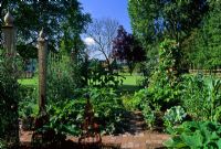 Vegetable garden at Pannells Ash Farm in Essex