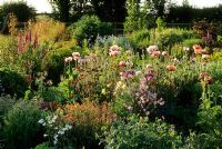 Wide mixed borders in summer at Pannells Ash Farm in Essex