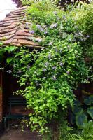 Small tiled summerhouse covered in climbers at Stone Cottage Garden in Worcestershire