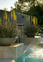 Water feature with fall and pond, large stone bowls with planting at The Kotoske Garden in Phoenix Arizona USA