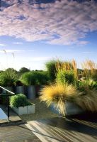 Metal containers with ornamental grasses on roof garden