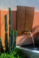 Sculptural water feature on painted wall in modern garden in Phoenix Arizona