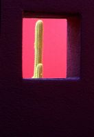 Painted walls with square hole, view to Cactus, Garden of painted rooms in El Paso USA 