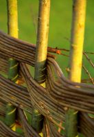Weave detail of woven willow fence