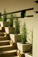 Steps with containers in modern garden, The Sanctuary in Phoenix, Arizona, USA