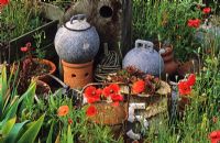 Found objects with Poppies at Derek Jarmans Garden in Dungeness, Kent