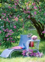 Sunlounger with table under flowering Lilac shrub in summer