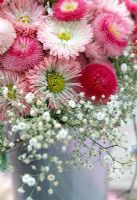 Bouquet with Bellis and Gypsophila