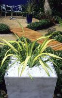 Contemporary patio garden. Phormium in container with white polystyrene mulch at Hampton Court FS 2000