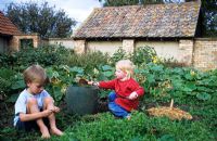 Children weeding vegetable garden at Gowan Cottage in Suffolk