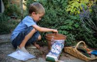 Child planting Crocus and Narcissus bulbs in pot in September at Gowan Cottage in Suffolk