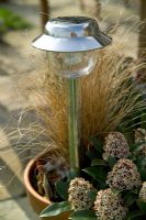 Solar powered garden light in pot with ornamental grass and Skimmia
