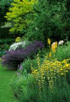 Colourful summer border at Eastgrove Cottage Garden in Worcestershire