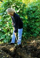 Woman adding compost to trench for planting