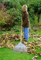 Woman raking leaves from lawn in autumn