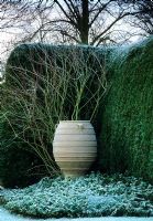 Large terracotta container in winter bed backed by evergreen hedge at Pound Farm Hall