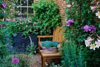 Wooden bench in courtyard garden with scented plants