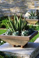 Square contemporary planters with succulents in  Las Vegas, USA