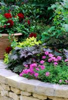 Raised bed with colourful planting