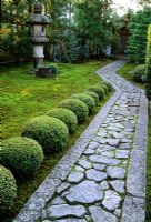Pathway through moss garden at Ryugen-Ji Temple, Kyoto, Japan