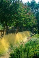 Path lined with row of grasses under trees at Bonterra Vineyard, California, USA