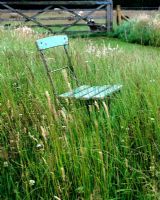Rustic blue chair in long grass