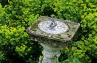 Sundial on stone pedestal among Euphorbia
