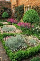 Herb garden with Buxus - Box topiary hedges, Santolina and Saxifraga x urbium at Greys Court, Oxfordshire. 