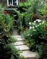 Path with stepping stones in gravel edged by mixed borders 
