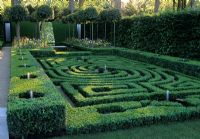 Buxus - Box Parterre with fountains and avenue of lollipop clipped bays
