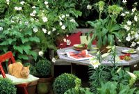 Wooden furniture with green and white planting