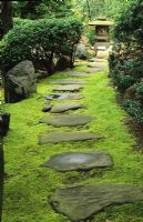 Japanese Stroll Garden. Moss path with stepping stones