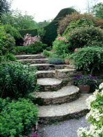 Stone steps leading to terraced garden at  ChiffChaffs in Dorset
