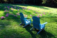 Painted wooden chairs on lawn with Colchicums